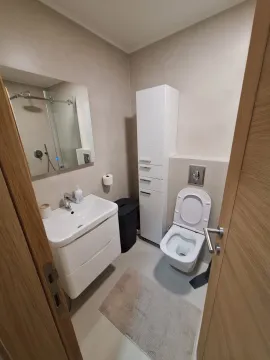 Modernly equipped bathroom with a washbasin, toilet, and shower cabin. - image 6