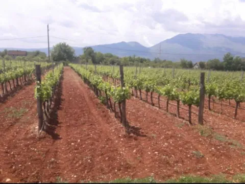 Sale, land lot, 8924m², Danilovgrad, Crna Gora