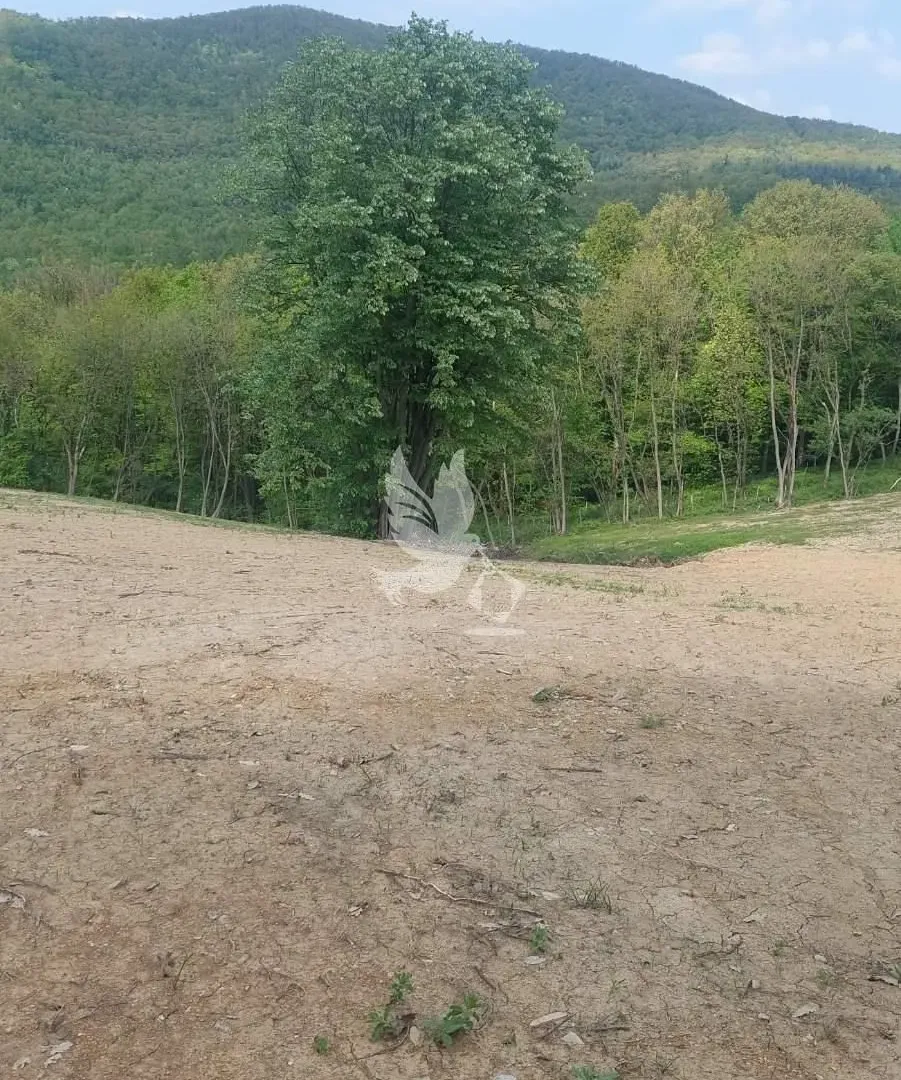 Prodaja, plac, 14000m², Kosmaj, Sopot