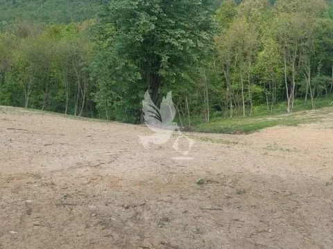 Prodaja, plac, 14000m², Kosmaj, Sopot - image 3