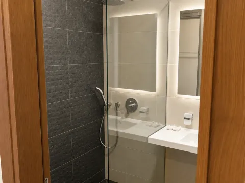 Izdavanje, jednosoban stan, 50m², Ljubović, Podgorica - image 12