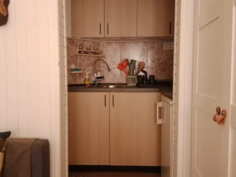 Rent, two bedroom apartment, 38m², Savski Venac, Beograd - image 7