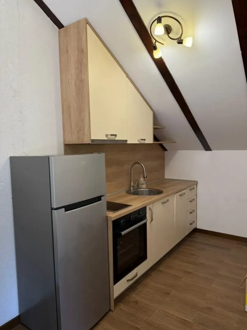 Small kitchen with wooden elements and built-in appliances in the attic.