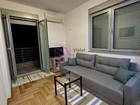 Rent, apartment, 28m², Zabjelo, Podgorica - image 1