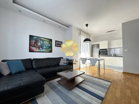 Izdavanje, jednosoban stan, 50m², City Kvart, Podgorica - image 2