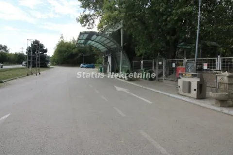 View of the paved driveway and entrance to the property yard. - image 13