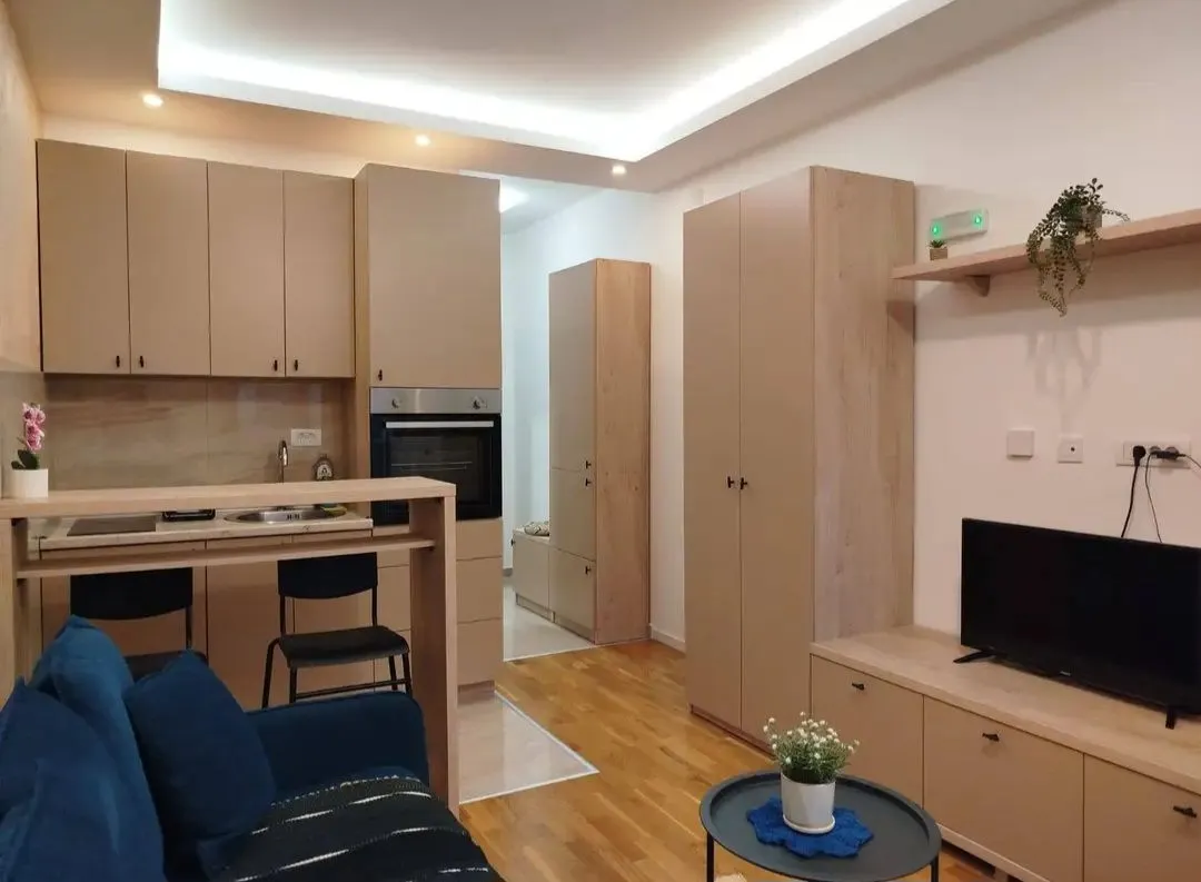 Rent, studio apartment, 24m², Zabjelo, Podgorica