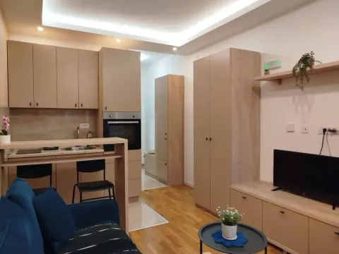 Rent, studio apartment, 24m², Zabjelo, Podgorica - image 2