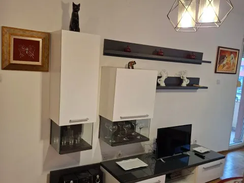 Rent, one bedroom apartment, 50m², Zabjelo, Podgorica - image 4