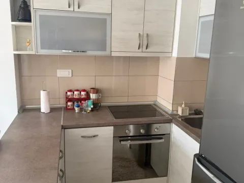 Rent, one bedroom apartment, 45m², Ljubović, Podgorica - image 4