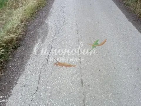 Sale, land lot, 490m², Radiofar, Surčin - image 3