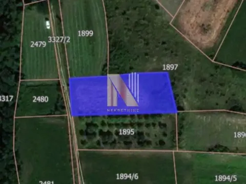 Prodaja, plac, 1200m², Novi Sad, Srbija - image 2