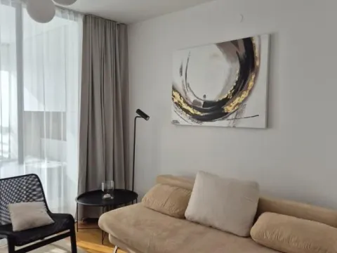 Rent, two bedroom apartment, 42m², Novi Beograd Blok 67, Novi Beograd Sve Podlokacije - image 8