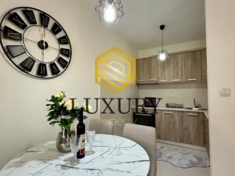 Izdavanje, jednosoban stan, 57m², Zagorič, Podgorica - image 10