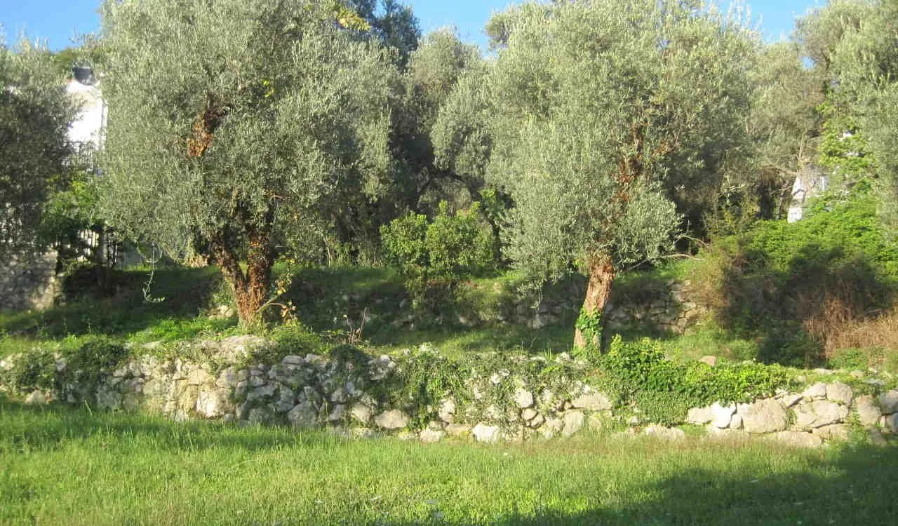 Prodaja, plac, 332m², Kamenovo, Budva