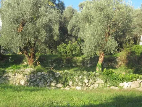 Prodaja, plac, 332m², Kamenovo, Budva - image 2