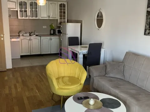 Izdavanje, jednosoban stan, 50m², Tuški Put, Podgorica - image 2