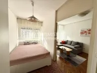 Izdavanje, dvosoban stan, 46m², Botanička Bašta, Palilula Sve Podlokacije - image 4