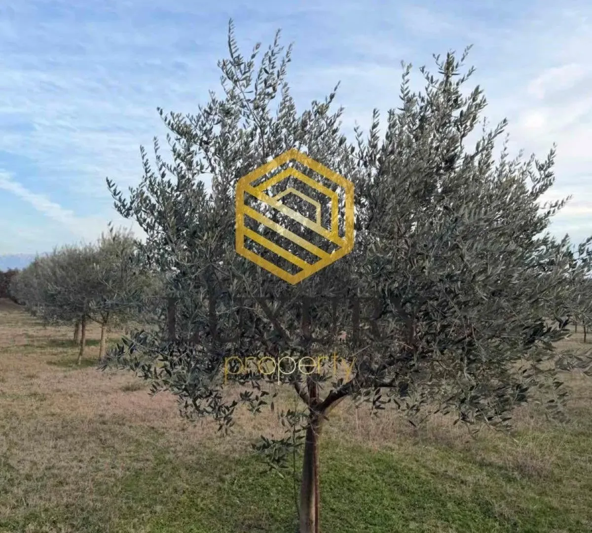 Prodaja, kuća, 122m², Zeta, Podgorica