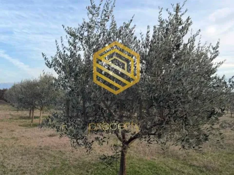 Prodaja, kuća, 122m², Zeta, Podgorica - image 6