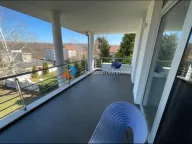 Izdavanje, kuća, 560m², Veliki Mokri Lug, Zvezdara Sve Podlokacije - image 34