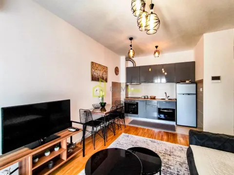 Rent, one bedroom apartment, 36m², Zabjelo, Podgorica - image 4