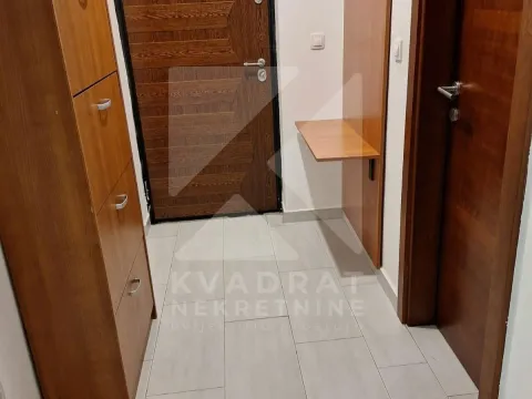 Izdavanje, jednosoban stan, 45m², Tuški Put, Podgorica - image 10