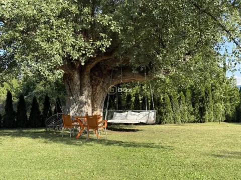 Sale, house, 180m², Donja Vrežina, Niš - image 9