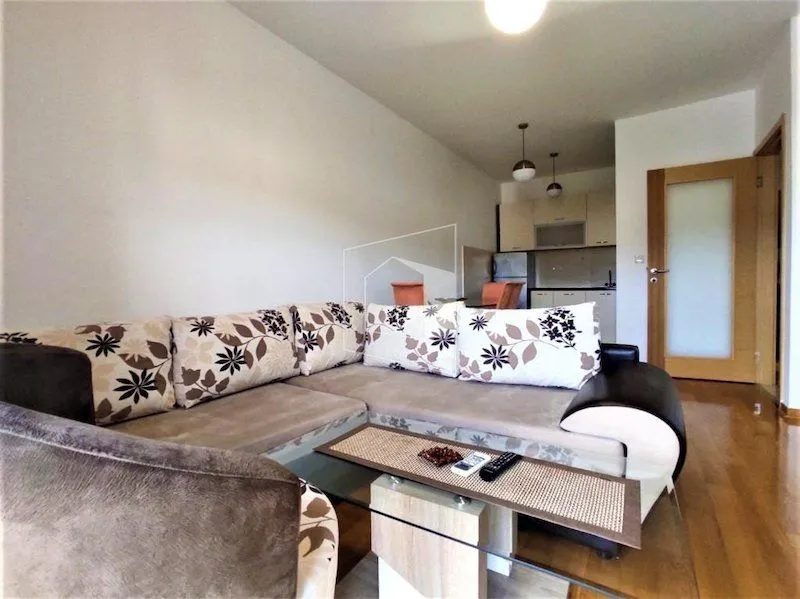 Izdavanje, jednosoban stan, 55m², Blok 6, Podgorica
