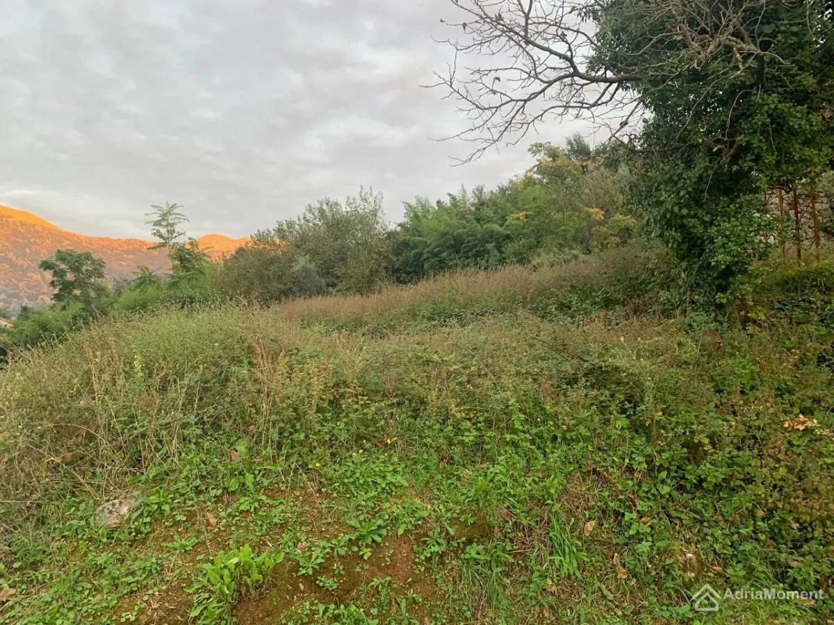 Prodaja, plac, 204100m², Stoliv, Kotor