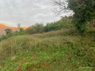 Prodaja, plac, 204100m², Stoliv, Kotor - image 6