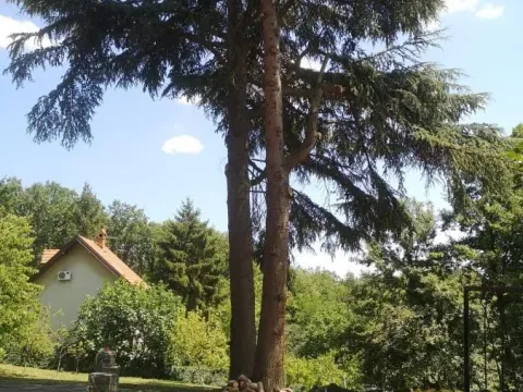 Prodaja, kuća, 106m², Vrčin, Grocka - image 2