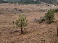 Prodaja, plac, 6697m², Borje, Žabljak - image 2