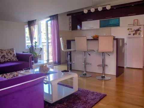 Rent, one bedroom apartment, 46m², Dalmatinska ulica, Podgorica - image 5