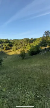 Pogled na zeleni travnati teren i šumu. - image 2