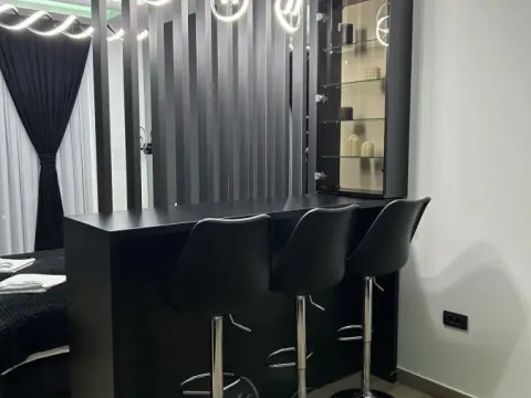 Sale, one bedroom apartment, 30m², Kraljevi Čardaci, Kopaonik - image 4