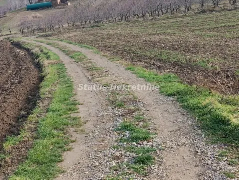 Zemljani put koji vodi kroz imanje i voćnjak. - image 3