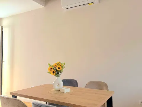 Izdavanje, jednosoban stan, 50m², Centar, Cetinje - image 4