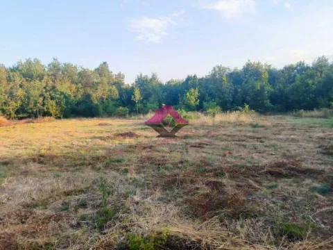 Sale, land lot, 6218m², Velika Ivanča, Mladenovac - image 6