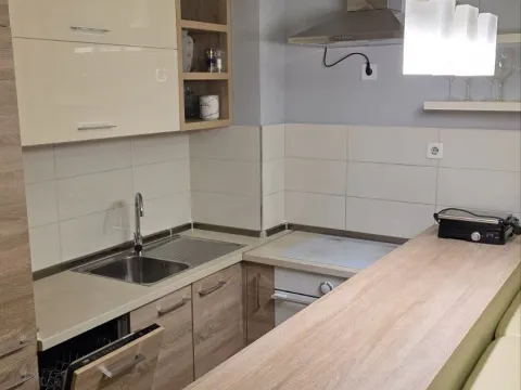 Izdavanje, jednosoban stan, 50m², Ljubović, Podgorica - image 5