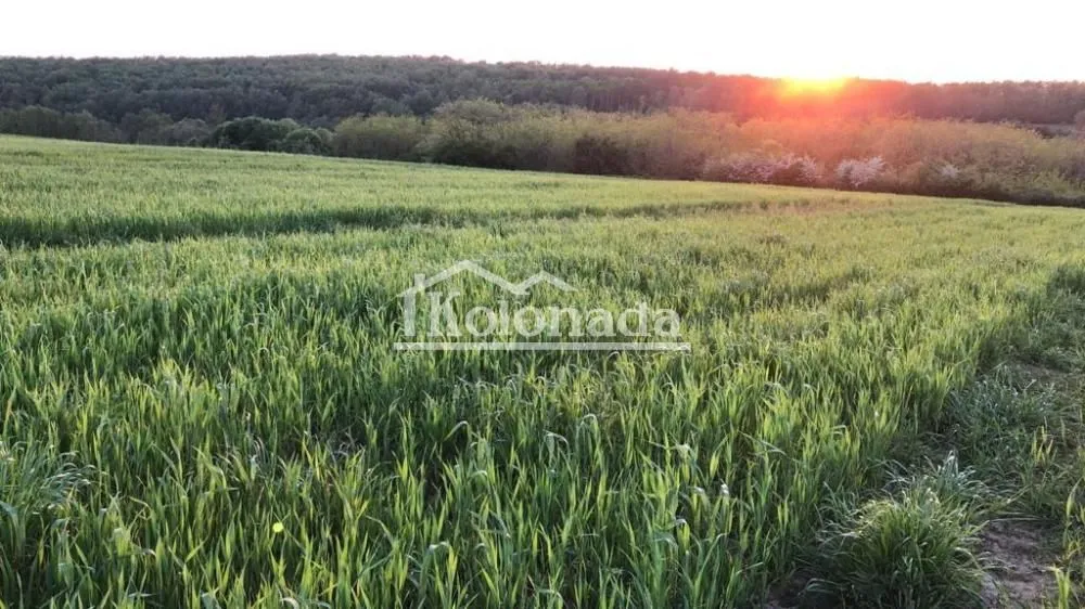 Prodaja, plac, 13000m², Nemenikuće, Sopot
