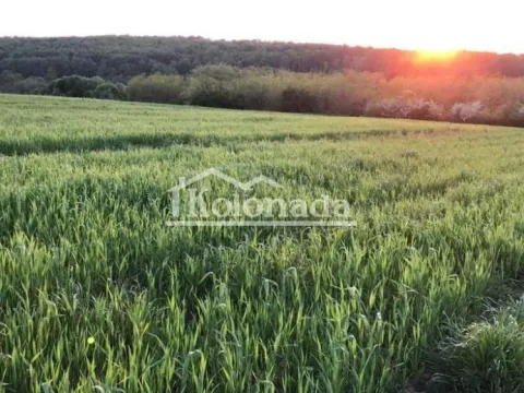 Prodaja, plac, 13000m², Nemenikuće, Sopot - image 8