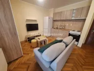 Izdavanje, jednosoban stan, 35m², Bulevar Oslobodjenja, Novi Sad Sve Podlokacije - image 1