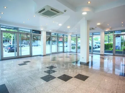 Izdavanje, poslovni prostor, 214m², Autobuska stanica, Podgorica - image 4