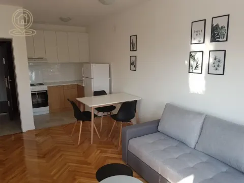 Izdavanje, dvosoban stan, 45m², Bulevar Evrope, Novi Sad Sve Podlokacije - image 2