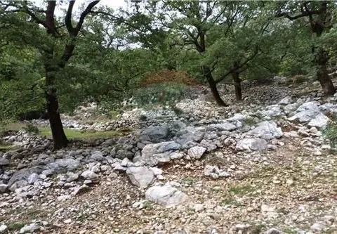 Prodaja, plac, Risan, Kotor - image 8