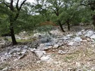 Prodaja, plac, Risan, Kotor - image 8