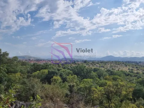 Sale, land lot, 1500m², Tološi, Podgorica - image 2