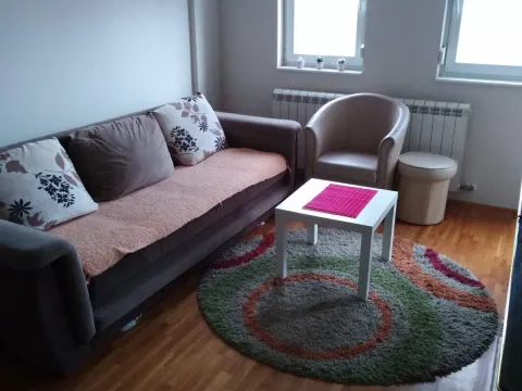 Izdavanje, jednosoban stan, 38m², Zvezdara Sve Podlokacije, Beograd - image 3
