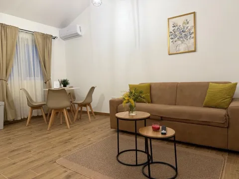 Rent, one bedroom apartment, 59m², Central Point, Podgorica - image 1279